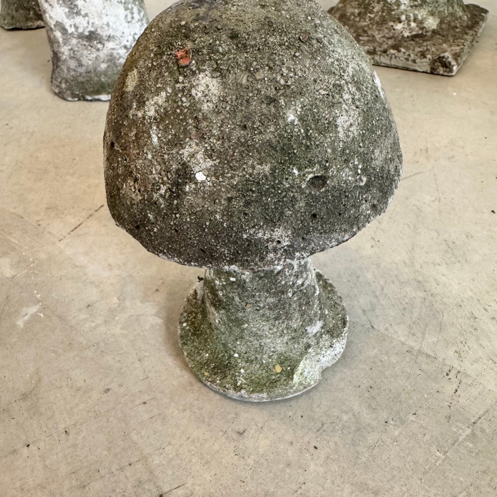 Set of 10 Concrete Mushrooms