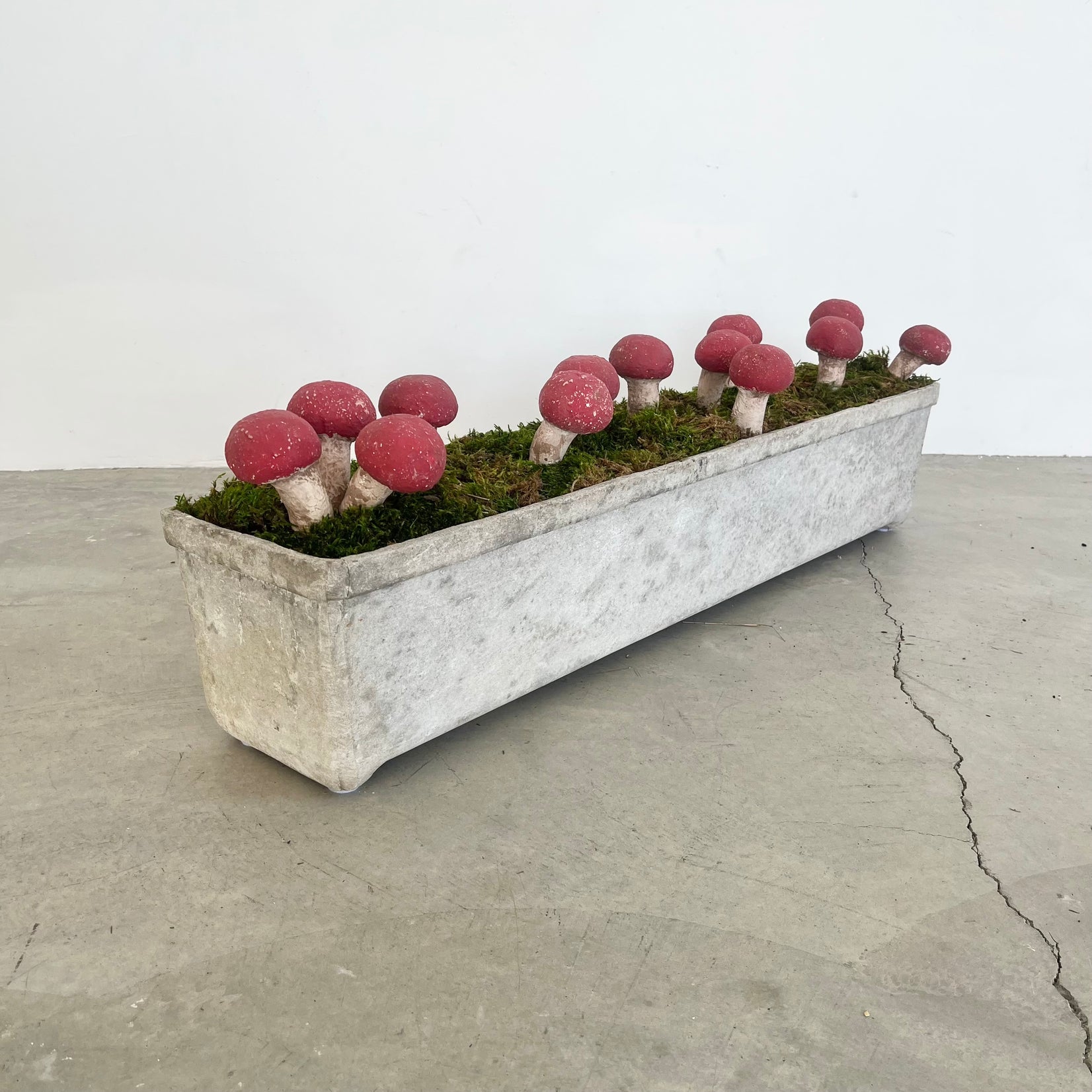 13 Sculptural Mushrooms in Trough Planter