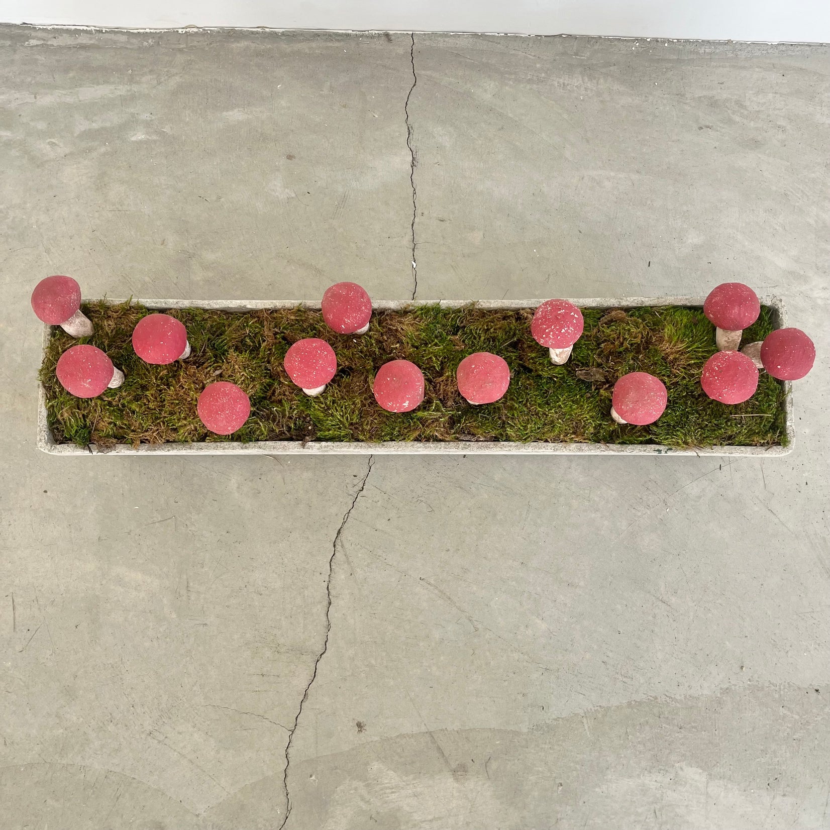 13 Sculptural Mushrooms in Trough Planter