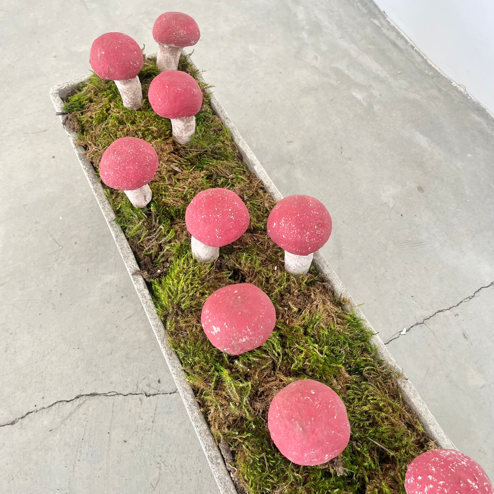 13 Sculptural Mushrooms in Trough Planter