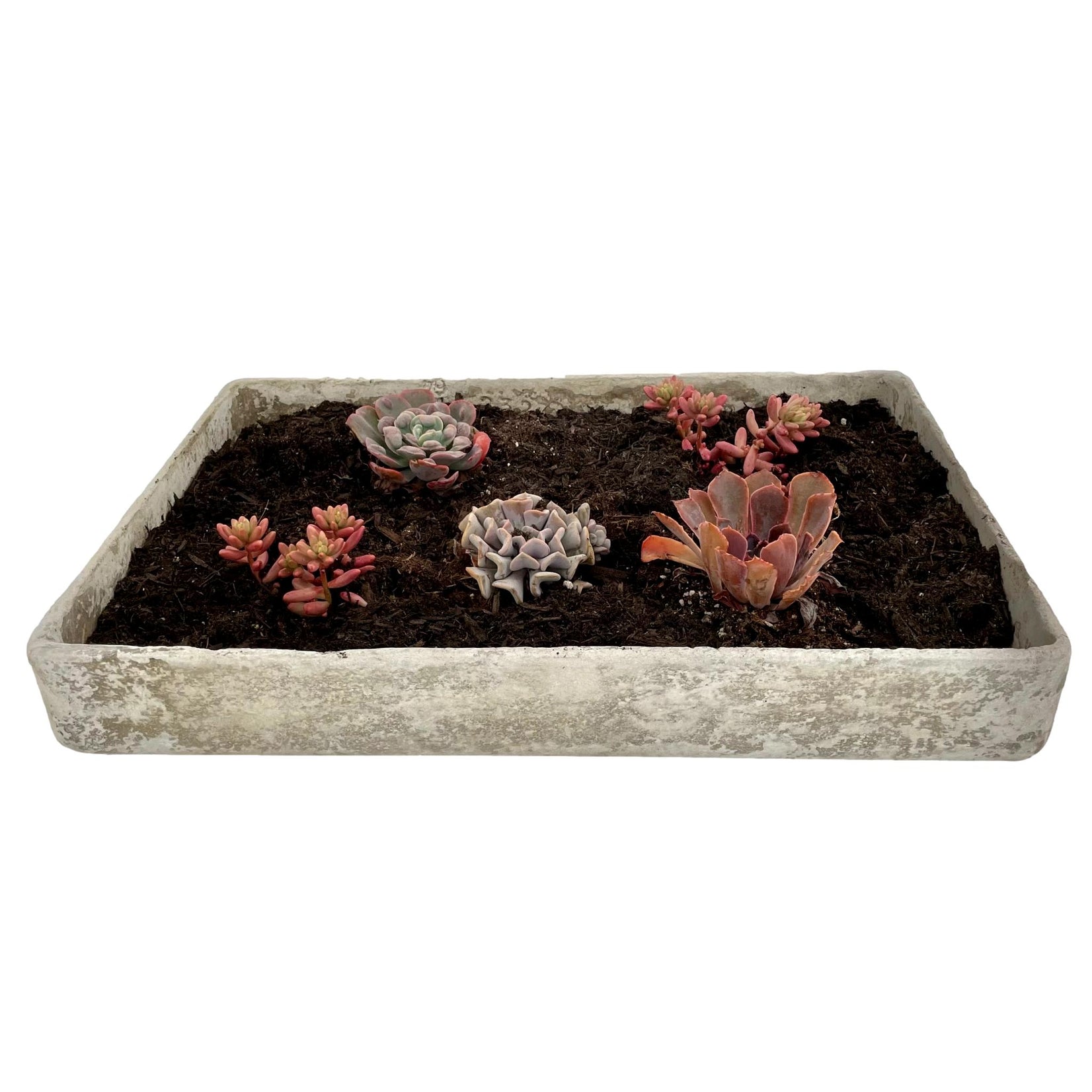 Willy Guhl Rectangular Tray Planters