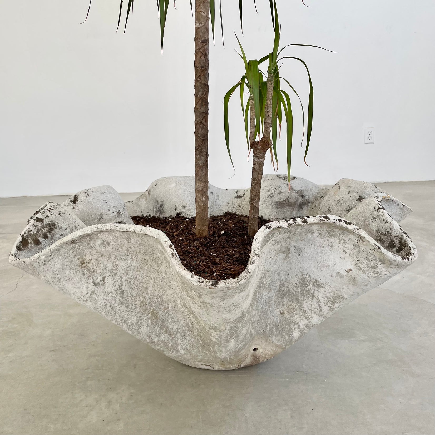 Willy Guhl Monumental Clam Shell Planters