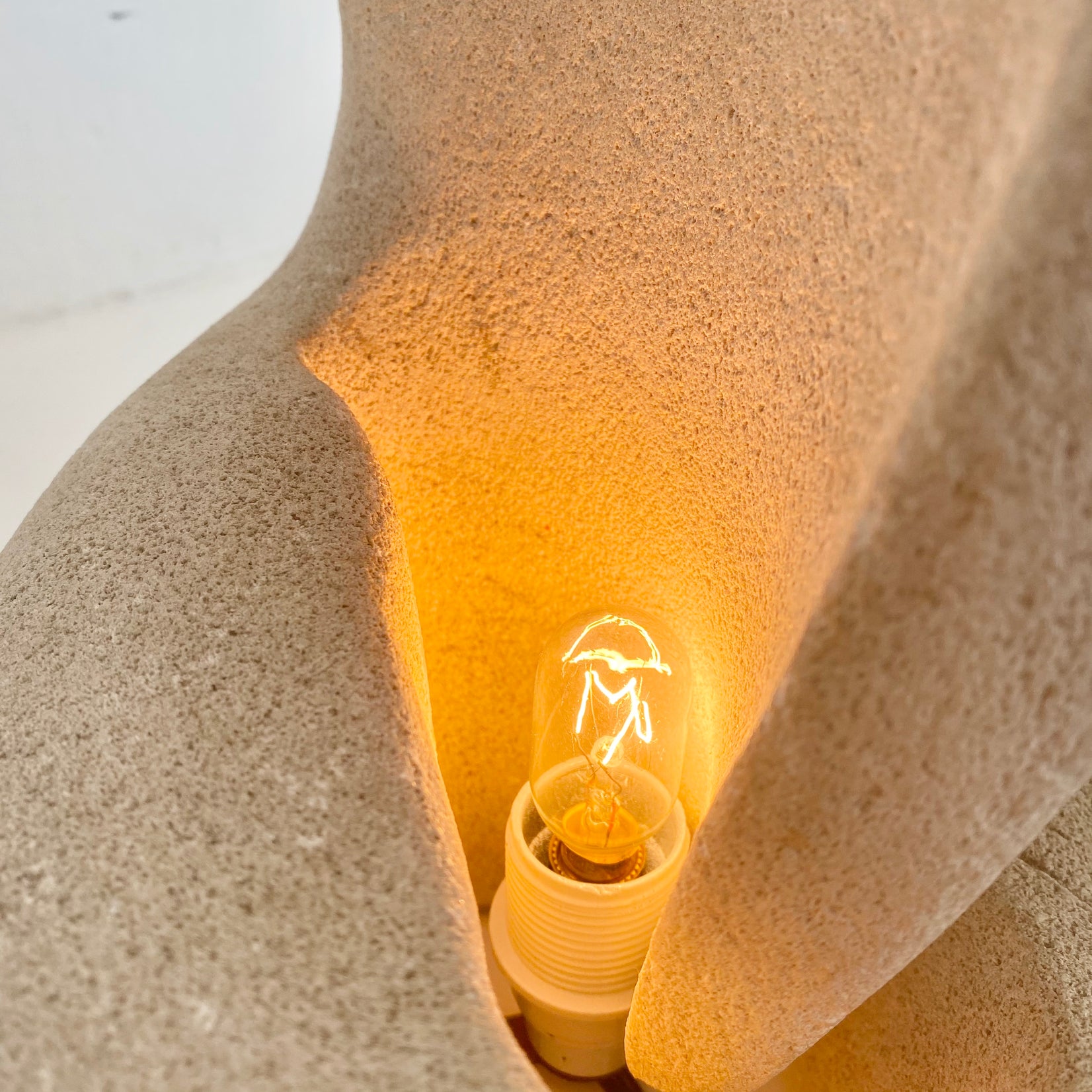 Albert Tormos Sculptural Nautilus Lamp