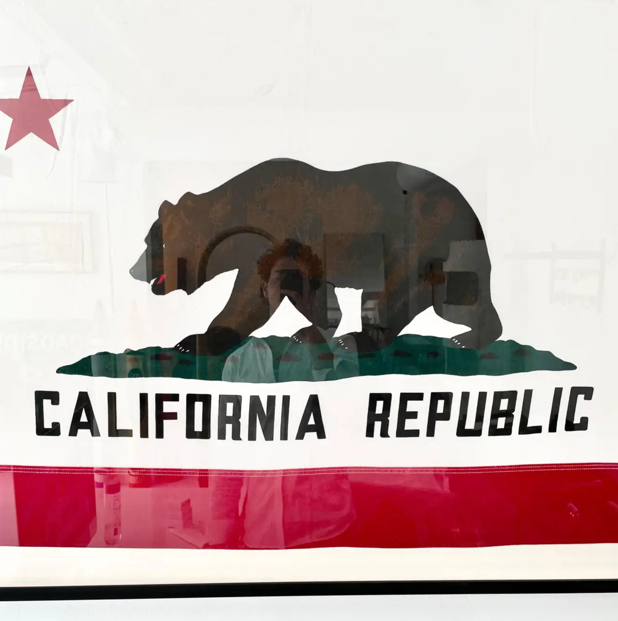 60s70s California Republic フラッグ ビンテージ-