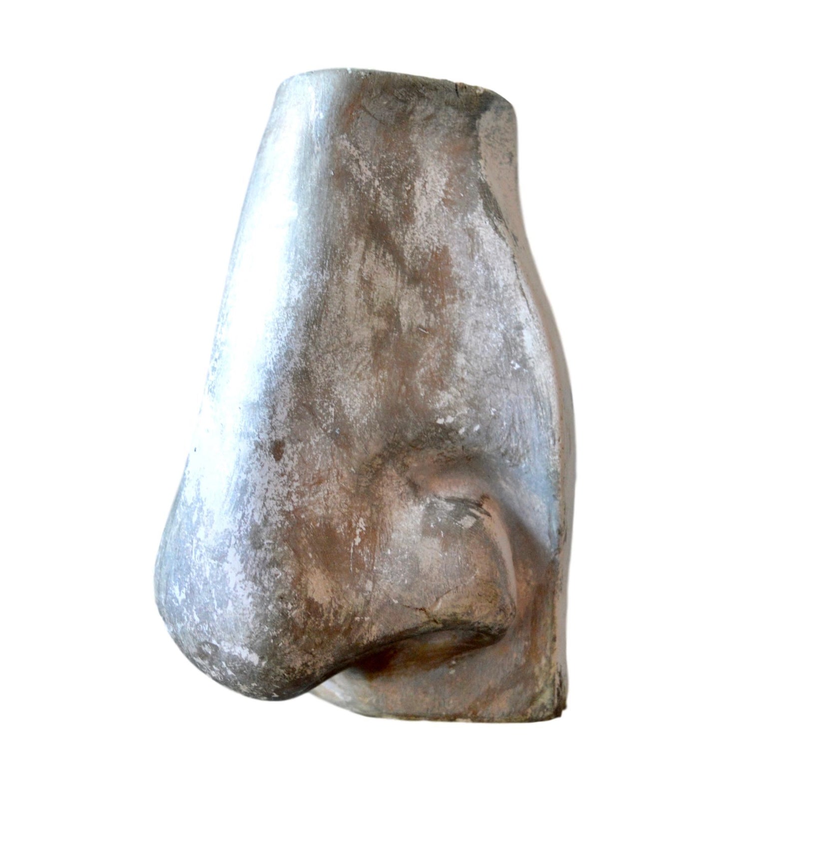 Sculptural Plaster Nose