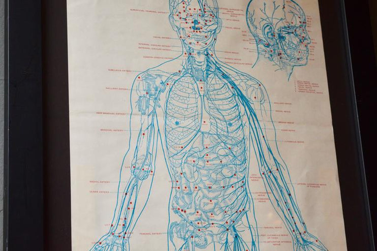 Set of Five Large 1970s Acupuncture Charts